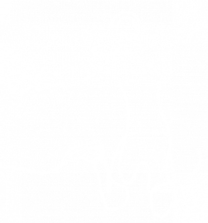 Zeichnung einer Frau, die nach Anwendung der Grinberg Methode energiegeladen in die Luft springt